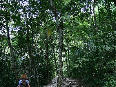 56 Tikal